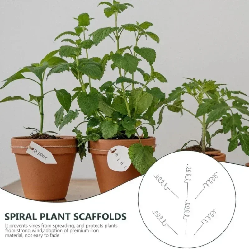 Plant Support Stake - Kletterpflanzen-Stützstange, Rankgitter, Tomatenspiralen, Langlebige Bonsai-Metallspiralstangen für