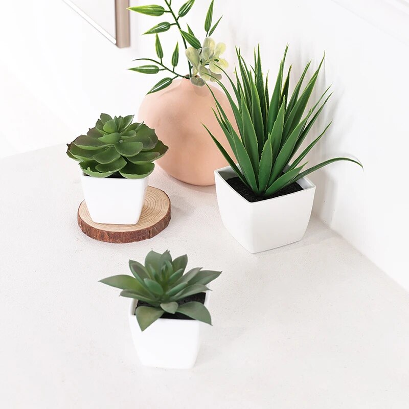Succulent Set - 3 Stück künstliche immergrüne Pflanzenbonsai, geeignet