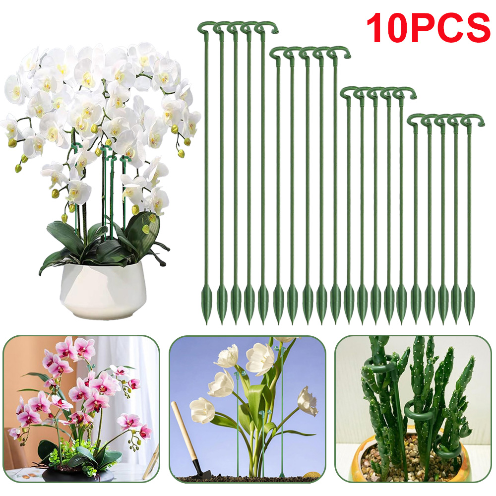 Succulent Set - 5/10 Stück Pflanzenstützstäbe, Blumentopf-Befestigungshalter für Orchideen,