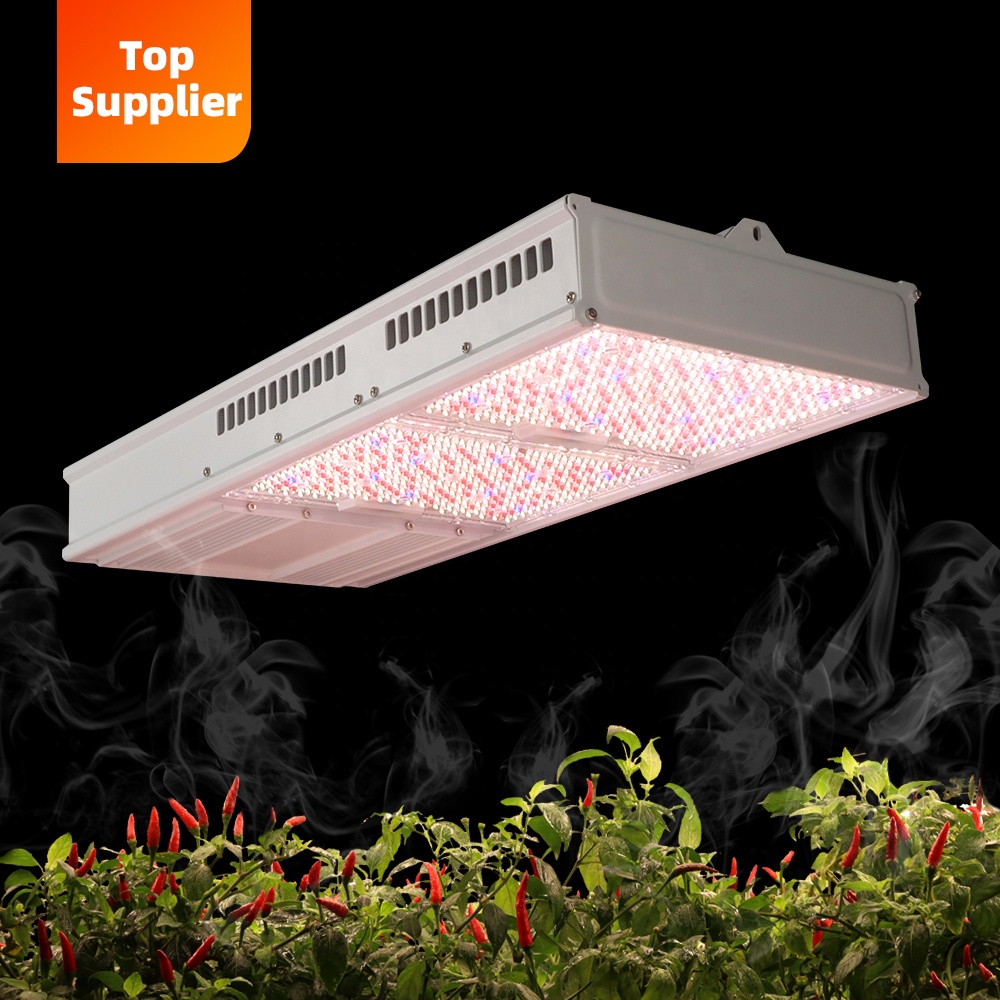 Kostengünstige 600W 800W Topli – Indoor Plants Bewertung und Preis