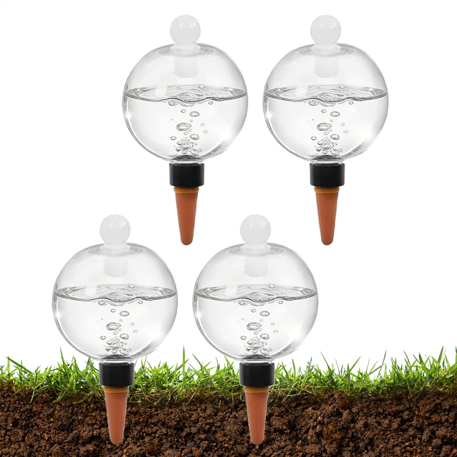 Pflanzenbewässerungskugeln, 4  – Succulent Set Bewertung und Preis
