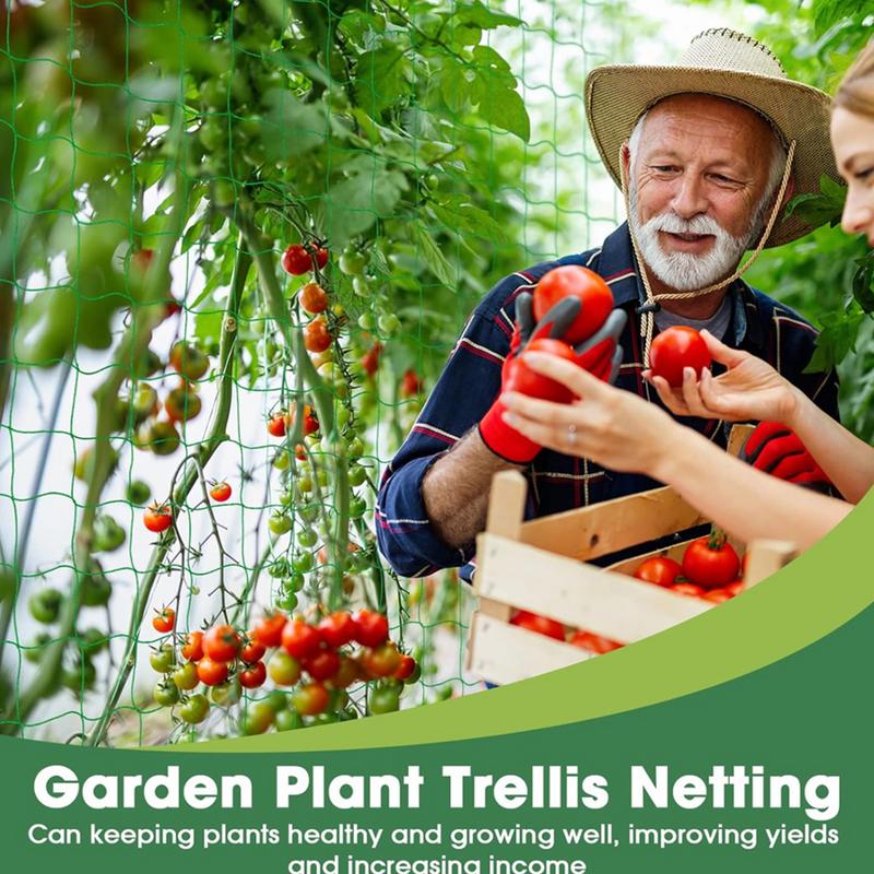 Spaliernetz für Kletterpflanze – Plant Support Stake Bewertung und Preis