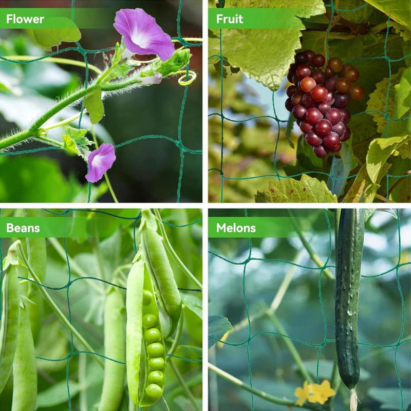 Spaliernetz für Kletterpflanze – Plant Support Stake Bewertung und Preis