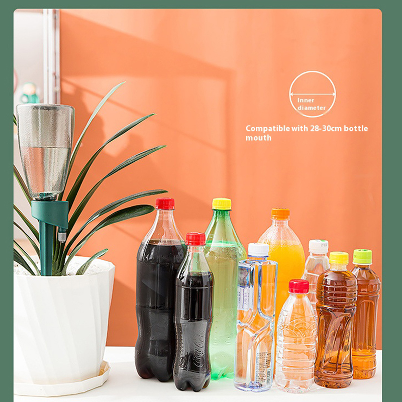Neues automatisches Blumenbewä – Succulent Set Bewertung und Preis
