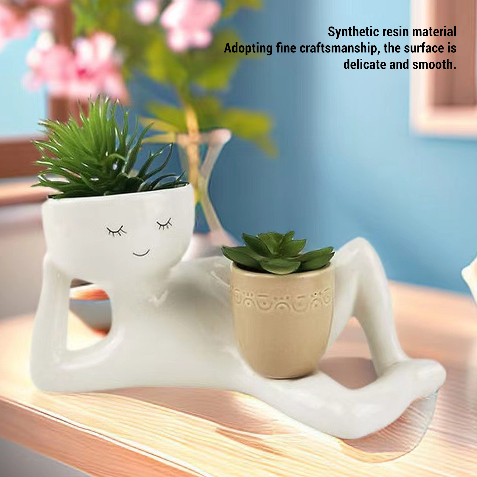 Sukkulenten-Topf, kreativer, a – Succulent Set Bewertung und Preis