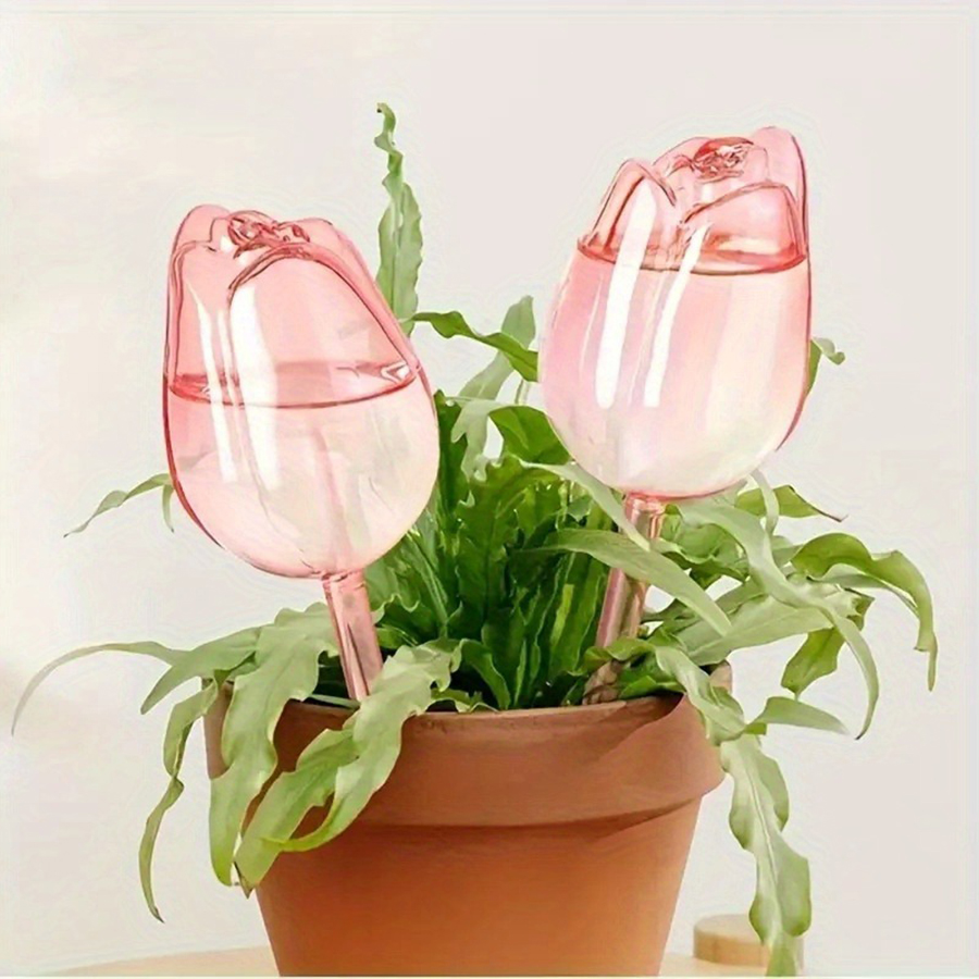 Transparenter, dicker PET-Tulp – Pothos Bewertung und Preis