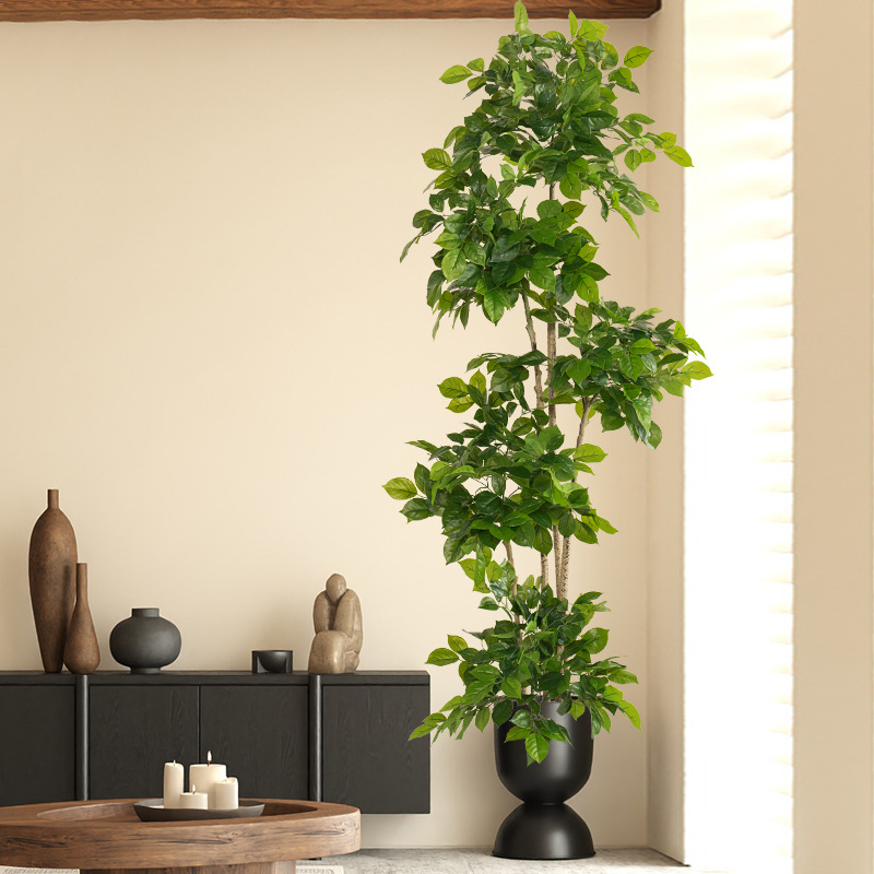 2-78 Zoll große gefälschte Pfl – Fiddle Leaf Fig Bewertung und Preis