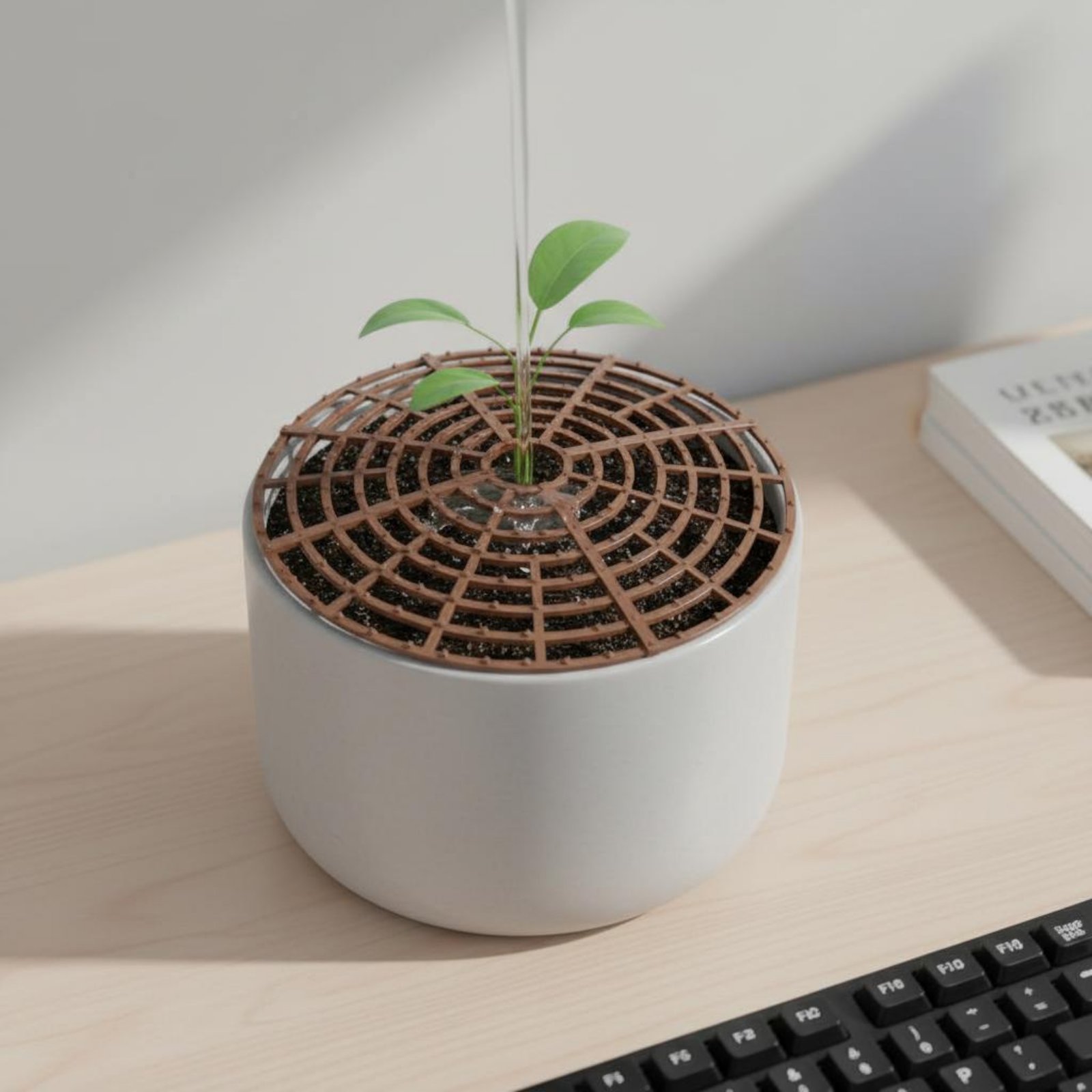 Pflanzentopf-Bodenschutz Wette – The Plant Parent Bewertung und Preis