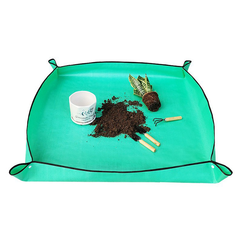 Pflanzumsetzungsmatte Wasserdi – Succulent Set Bewertung und Preis