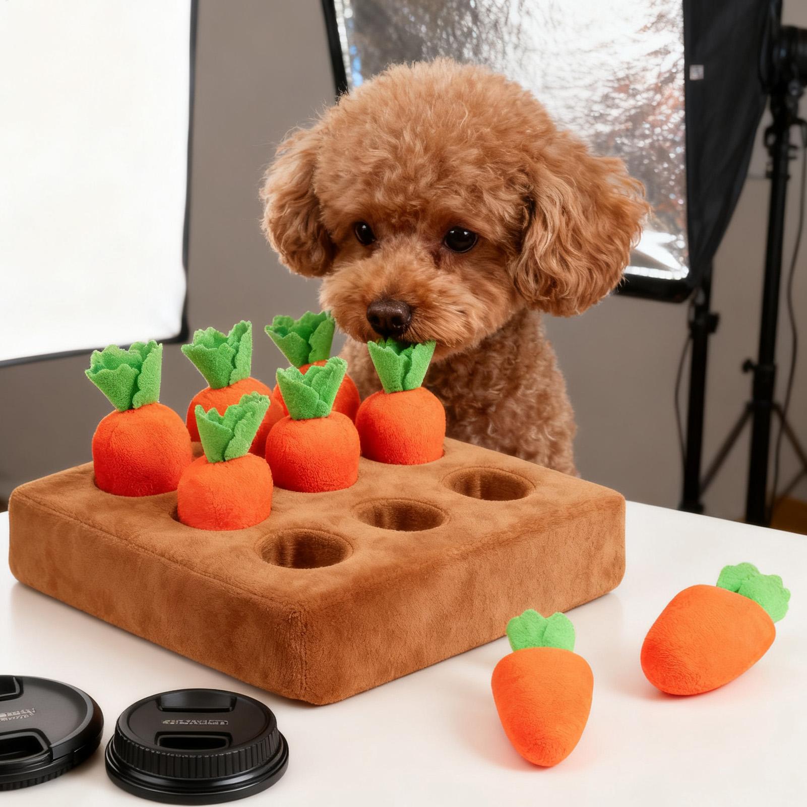 Interaktives Karotten-Spielzeu – Repotting Mat Bewertung und Preis