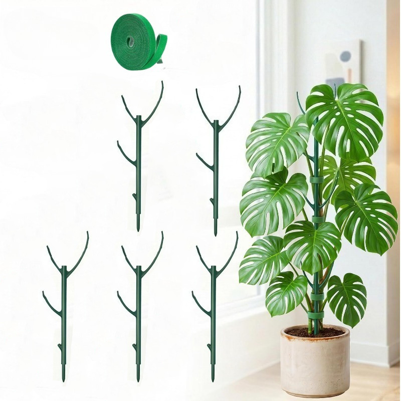 Monstera-Pflanzenstützstäbe, 5 – Plant Support Stake Bewertung und Preis