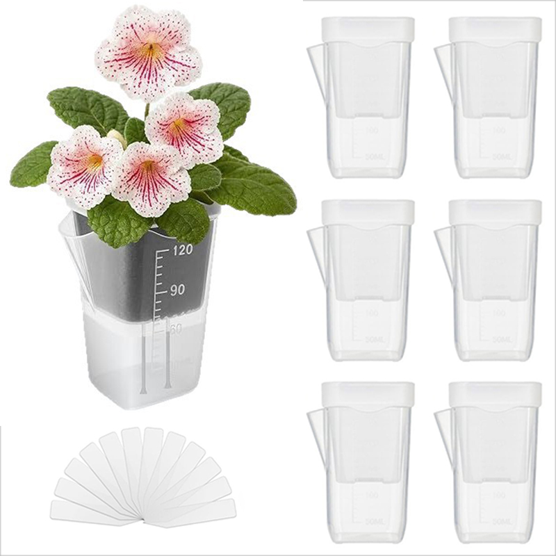 16/32er-Pack Selbstbewässernde – Pothos Bewertung und Preis