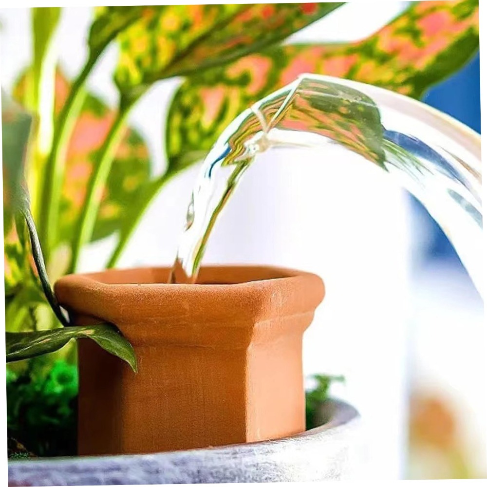 Automatisches Bewässerungssyst – Pothos Bewertung und Preis