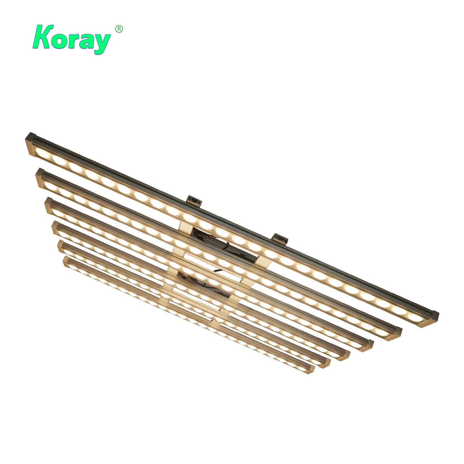 Koray 900W Indoor Vollspektrum – Indoor Plants Bewertung und Preis