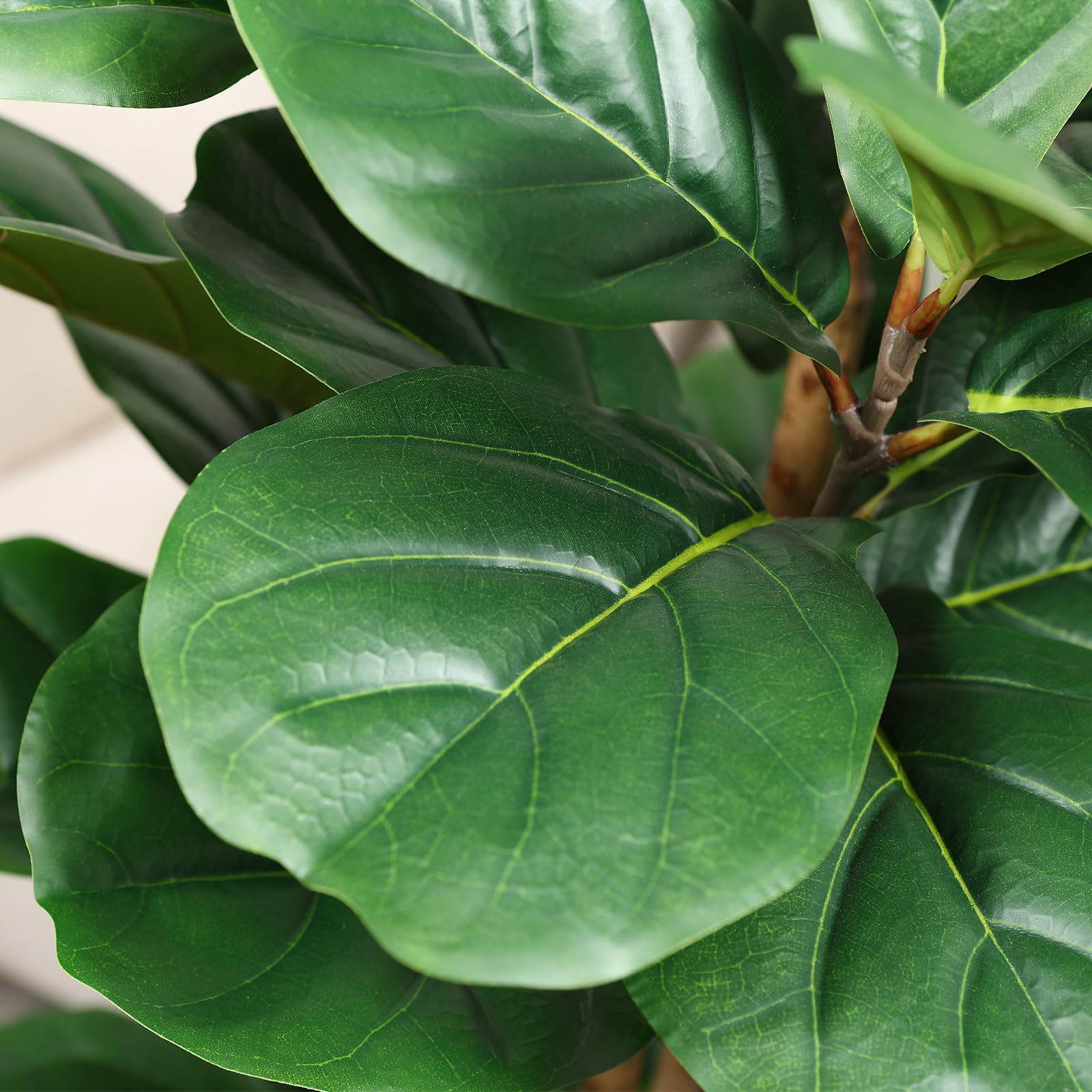 Künstlicher Fiddle-Leaf-Fig-Ba – Fiddle Leaf Fig Bewertung und Preis