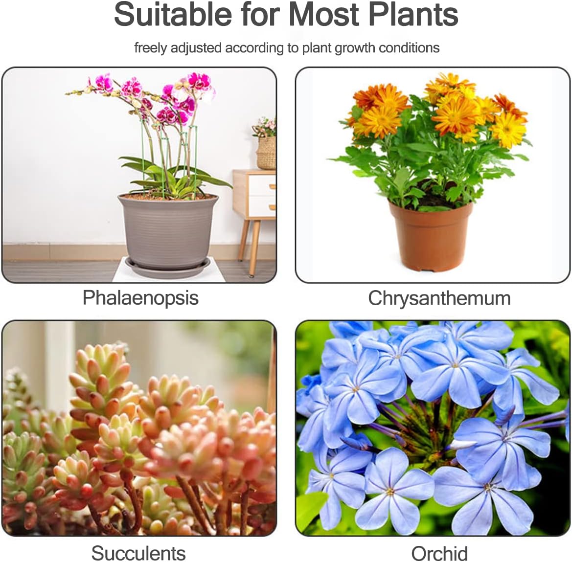 5/10 Stück Pflanzenstützstäbe, – Succulent Set Bewertung und Preis