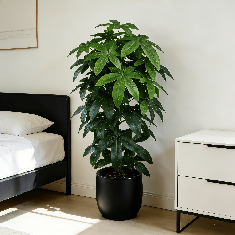 Ein künstlicher Geldbaum (Pach – Fiddle Leaf Fig Bewertung und Preis